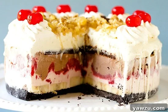 Top view of the finished Banana Split Ice Cream Cake with toppings