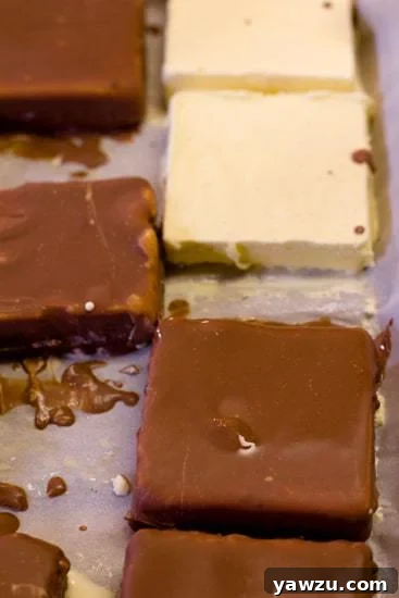 Dipping Homemade Ice Cream Bars in Chocolate Coating