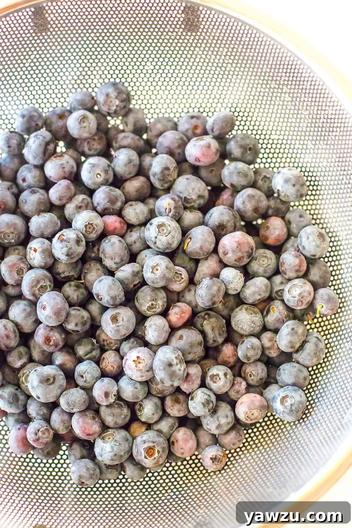 Blueberries in a colander.