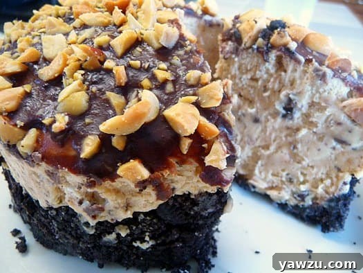 Decadent Chocolate Peanut Butter Torte with a slice removed, showcasing its rich, layered interior.