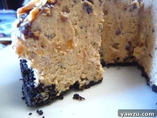 A close-up view of the chocolate peanut butter torte with a slice removed, revealing its creamy texture and crunchy elements.