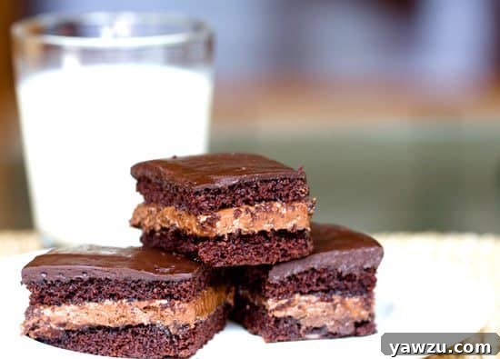 Homemade Choco-Bliss Snack Cakes with fluffy chocolate filling and rich icing