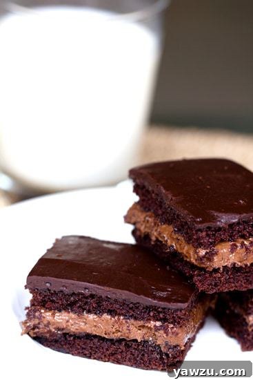 DIY Hostess Choco-Bliss Snack Cakes showcasing the moist cake and creamy filling layers