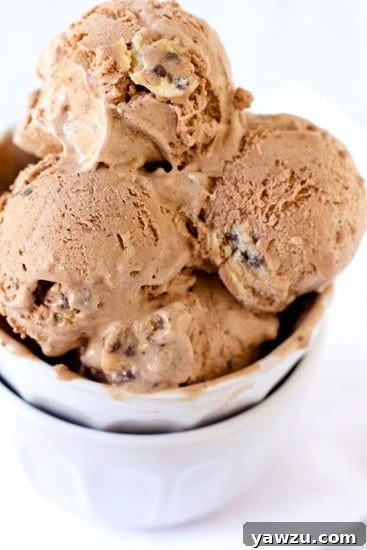 Rich, homemade chocolate ice cream swirled with generous chunks of edible chocolate chip cookie dough.