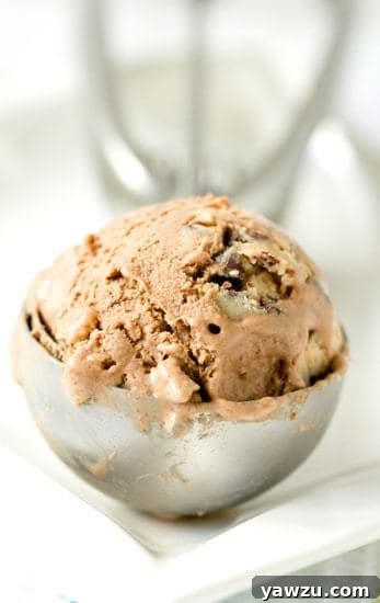 Close-up of creamy chocolate ice cream studded with golden-brown edible cookie dough pieces.