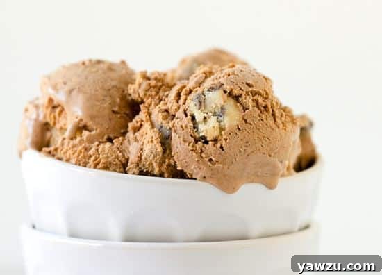 An overhead shot of homemade chocolate-chocolate chip cookie dough ice cream in a bowl, with a scoop removed, showing the rich texture and cookie dough chunks.