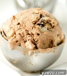 A small portion of chocolate ice cream with cookie dough chunks, ready to be churned.