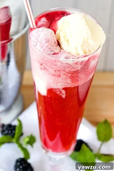 Refreshing Blackberry Gin Fizz Float with vanilla ice cream and fresh mint, perfect for summer