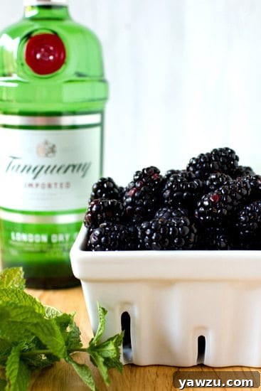 Fresh blackberries, a bottle of gin, and a sprig of mint ready for making a Blackberry Gin Fizz