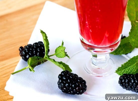Close-up of a Blackberry Gin Fizz Float with a scoop of vanilla ice cream melting, garnished with fresh mint and blackberries