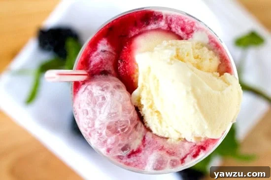 Beautifully prepared Blackberry Gin Fizz Floats in tall glasses, with a focus on their refreshing appearance, perfect for a summer gathering.