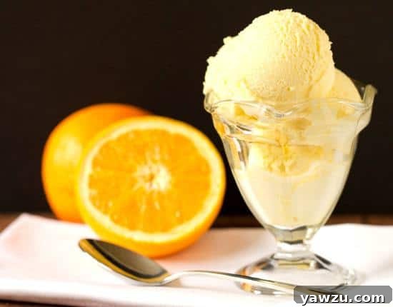 Homemade Fresh Orange Sherbet in a bowl