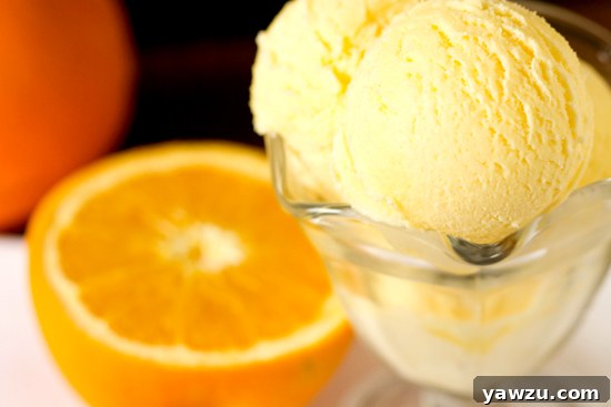 Close-up of freshly made orange sherbet