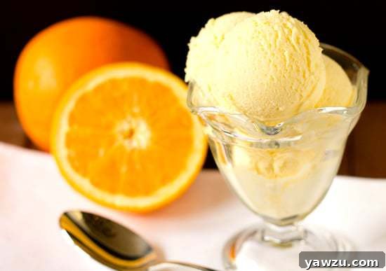 Three bowls of fresh orange sherbet