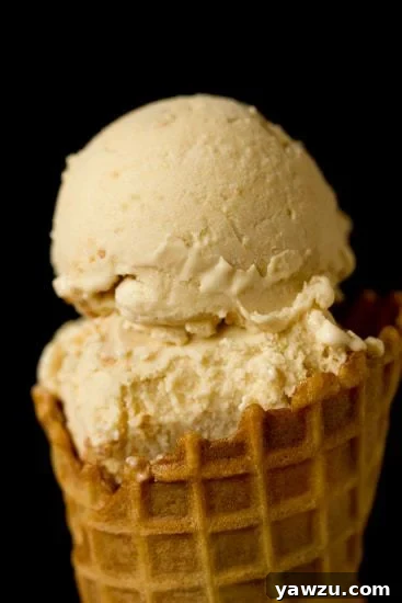 Delicious Apple Pie Ice Cream scoop with cinnamon