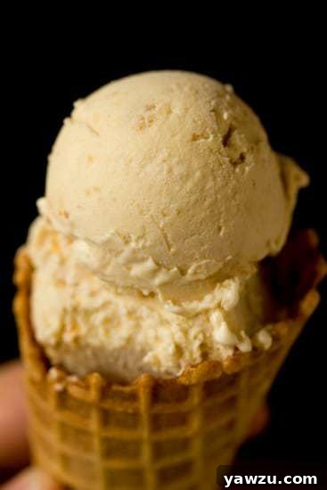 Close-up of creamy Apple Pie Ice Cream with visible apple specks and cookie crumbles