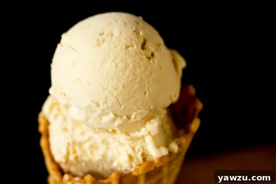 Serving of Apple Pie Ice Cream in a bowl with a spoon