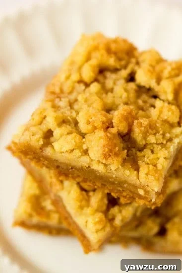 Close-up of freshly baked Dutch Apple Pie Bars, showcasing the layers of crust, apple filling, and streusel.