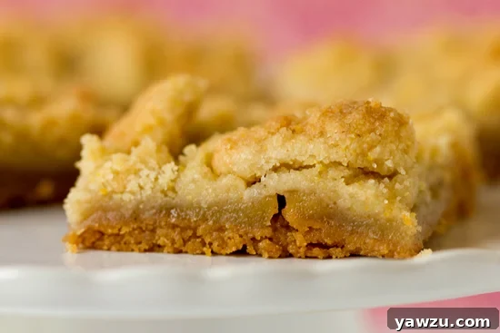 A tray of golden-brown Dutch Apple Pie Bars, ready to be served, highlighting their inviting texture.