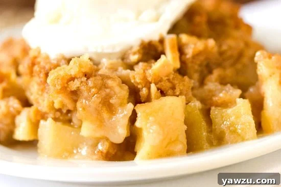 A delectable serving of Almond-Apple Crisp topped with a scoop of melting vanilla ice cream