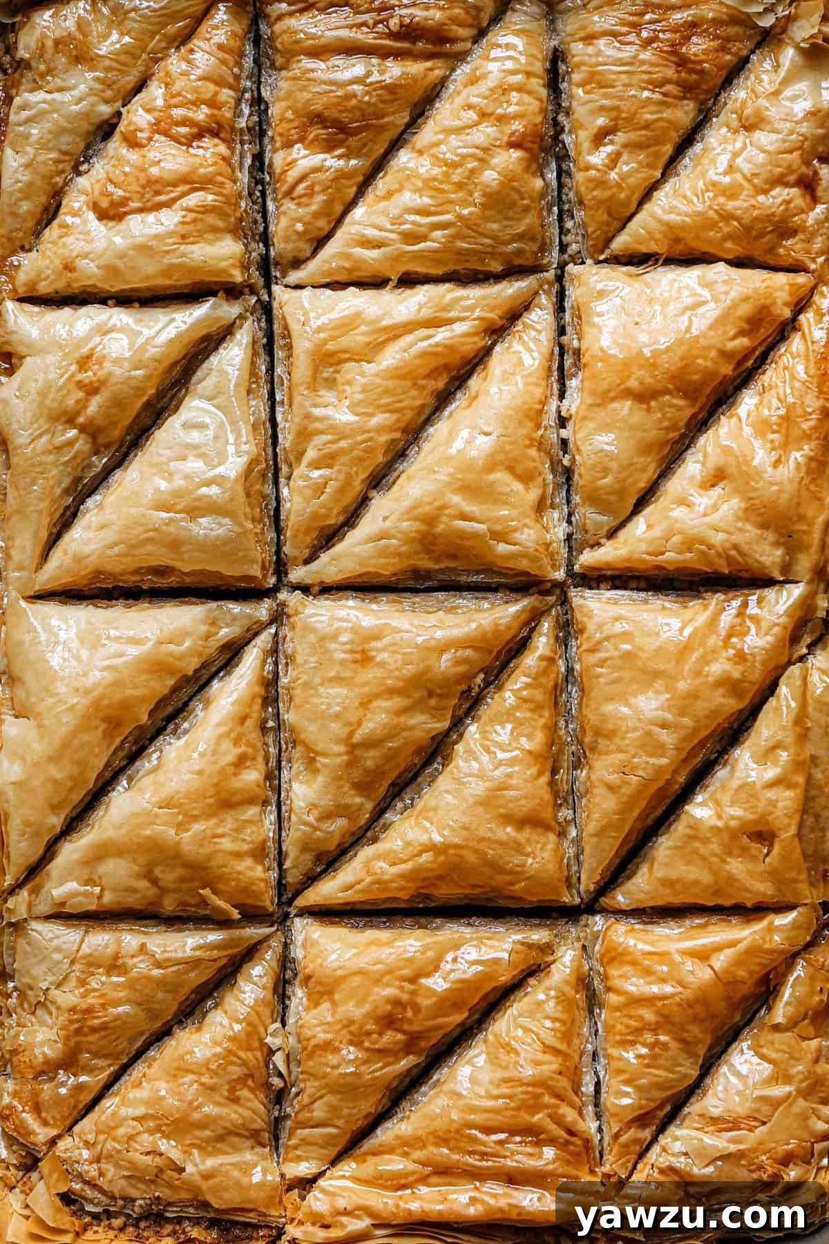 Top-down view of baklava cut into perfect triangles, showcasing its layered beauty.