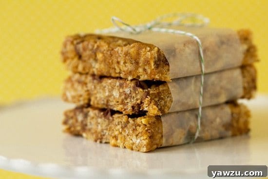 Homemade Clif Bars - Delicious and Healthy Energy Snacks