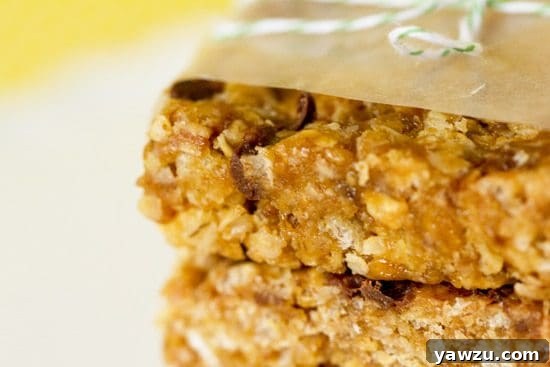 Homemade Clif Bars - Ready to Eat and Enjoy