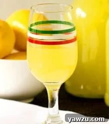 Limoncello bottle with lemon slices