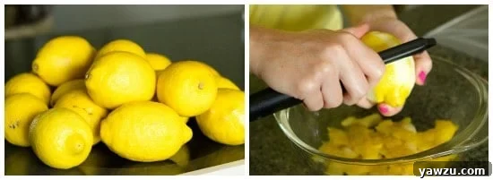 Freshly peeled lemon zest soaking in a large glass jar of alcohol