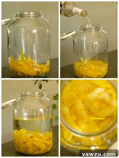 Close-up of lemon peels steeping in grain alcohol