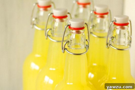 Display of twelve bottled homemade Limoncello
