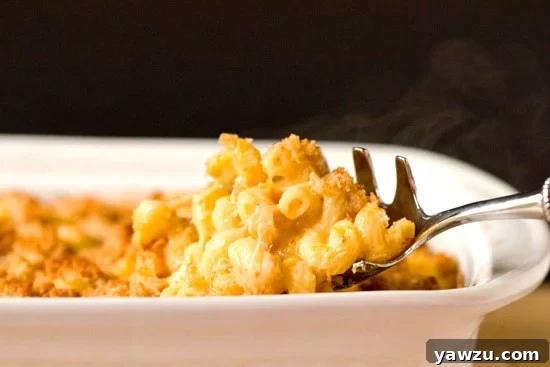 Golden-brown butternut squash mac and cheese with crispy bacon, garnished with fresh herbs.