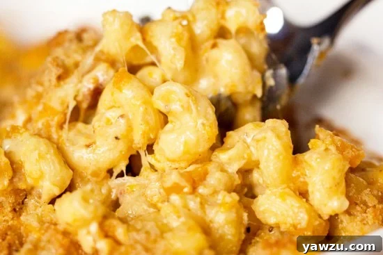 Close-up of bubbling, golden-baked butternut squash mac and cheese with melted cheese and crunchy topping.