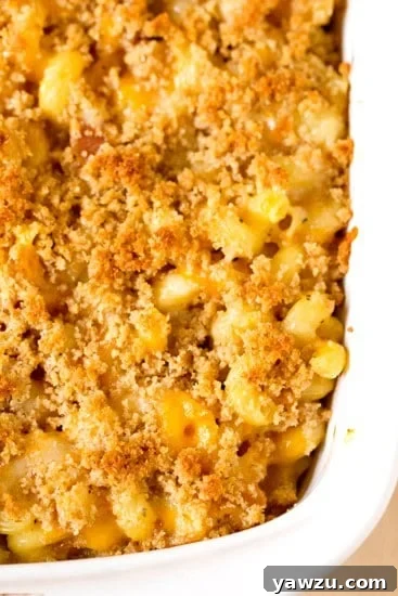 A casserole dish brimming with golden, baked butternut squash mac n' cheese before serving.