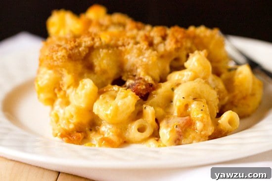 A serving of butternut squash and bacon mac n' cheese, showcasing its creamy interior.
