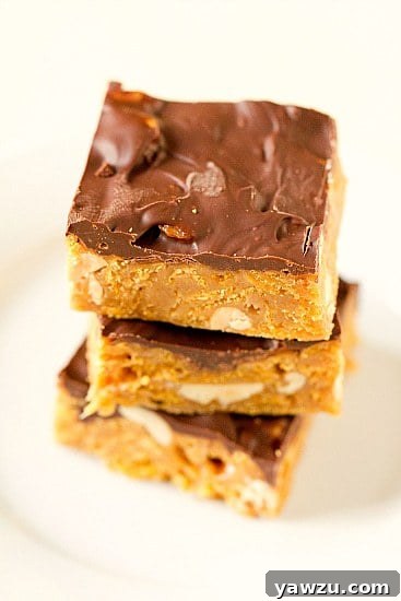 Two Goody Goody Bars with a thick, glossy chocolate layer on top, ready to be enjoyed