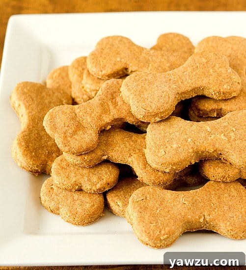 Homemade Beef and Cheddar Dog Treats for a Golden Retriever's Birthday