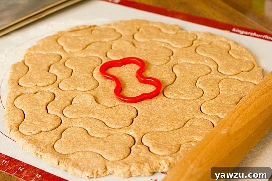 Dough rolled out and cut into dog bone shapes for Beef and Cheddar Dog Treats
