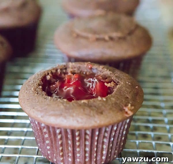 Cherry Coke Float Cupcakes - Chocolate cupcakes made with Coca-Cola, filled with cherries, topped with a Coca-Cola glaze, a whipped cream frosting and cherry on top!