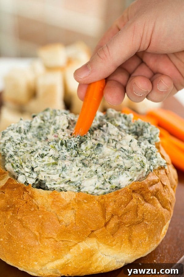 A large bowl of homemade Spinach Dip, garnished with fresh spinach leaves, served with an assortment of crackers and bread.