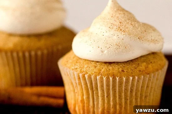 Close-up of Snickerdoodle Cupcakes