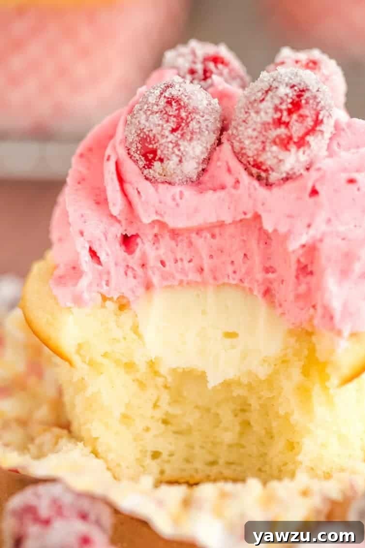 Sparkling Cranberry White Chocolate Cupcakes - Vanilla cupcakes with white chocolate ganache filling and cranberry buttercream frosting. | browneyedbaker.com