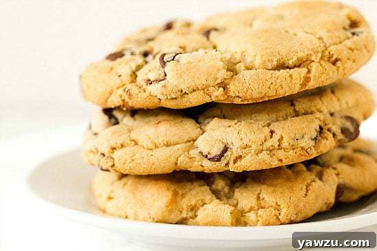 The New York Times Chocolate Chip Cookies :: Top 10 List: Favorite Cookie Recipes | browneyedbaker.com