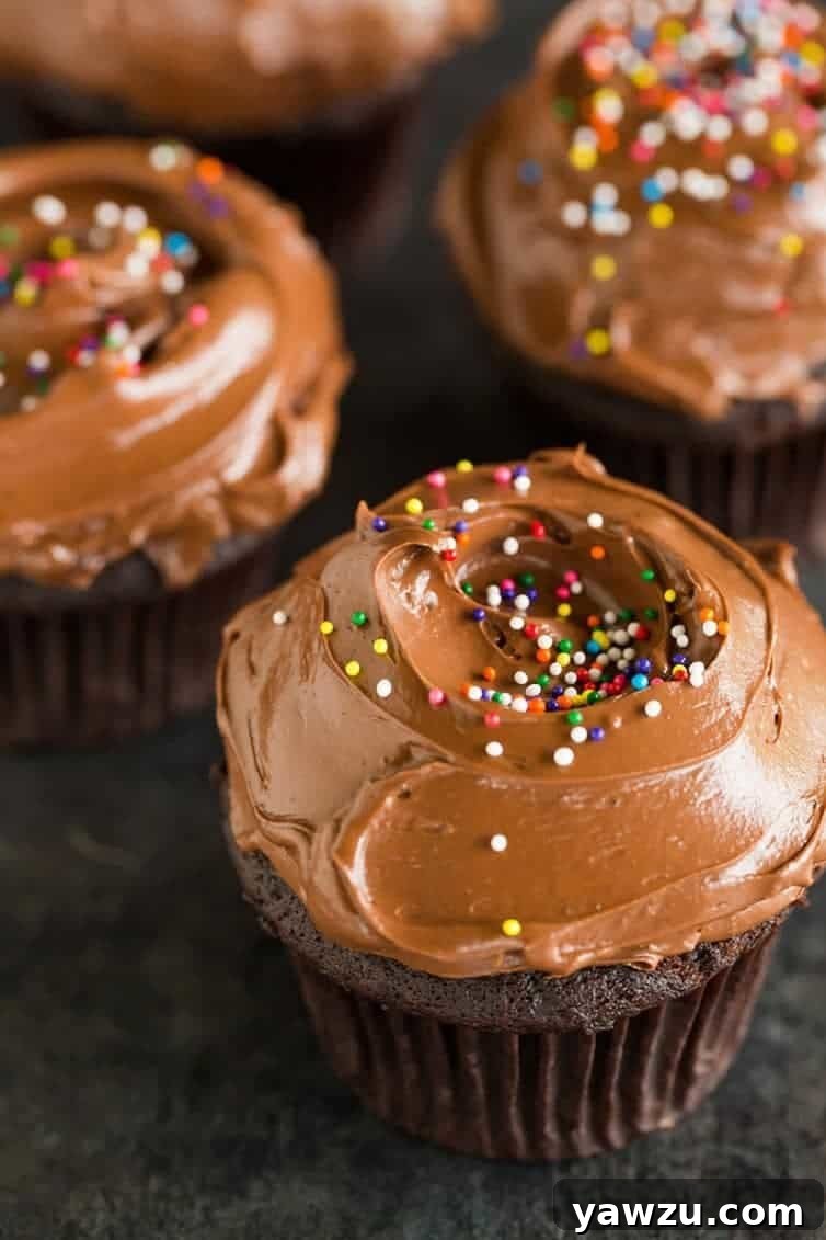 Chocolate cupcakes with a silky smooth chocolate frosting and sprinkles.