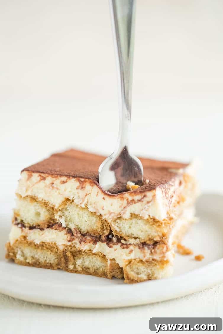 A white plate with a square of tiramisu cut out showing the layers with a fork in the top.