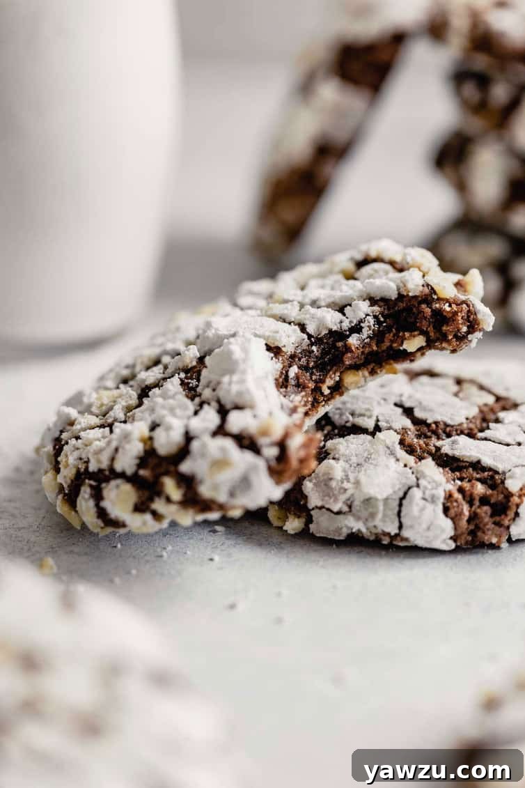 Nutella cookie with a bite taken out resting on another cookie.