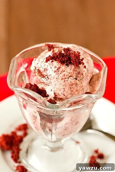 Lush, creamy Red Velvet Ice Cream in a beautiful glass bowl, ready to be enjoyed. A perfect Valentine's Day treat.