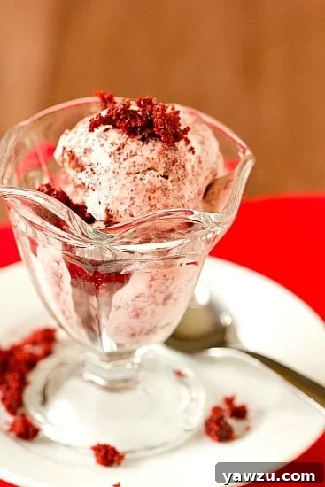 Perfectly scooped Red Velvet Ice Cream adorned with a red velvet cake crumb, enticing to any dessert lover.