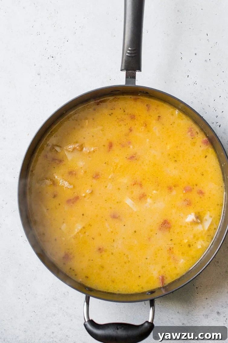 A pot with chicken tortilla soup after it's done simmering.