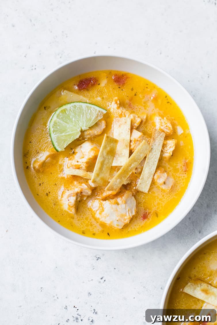 An overhead shot of a bowl of chicken tortilla soup.